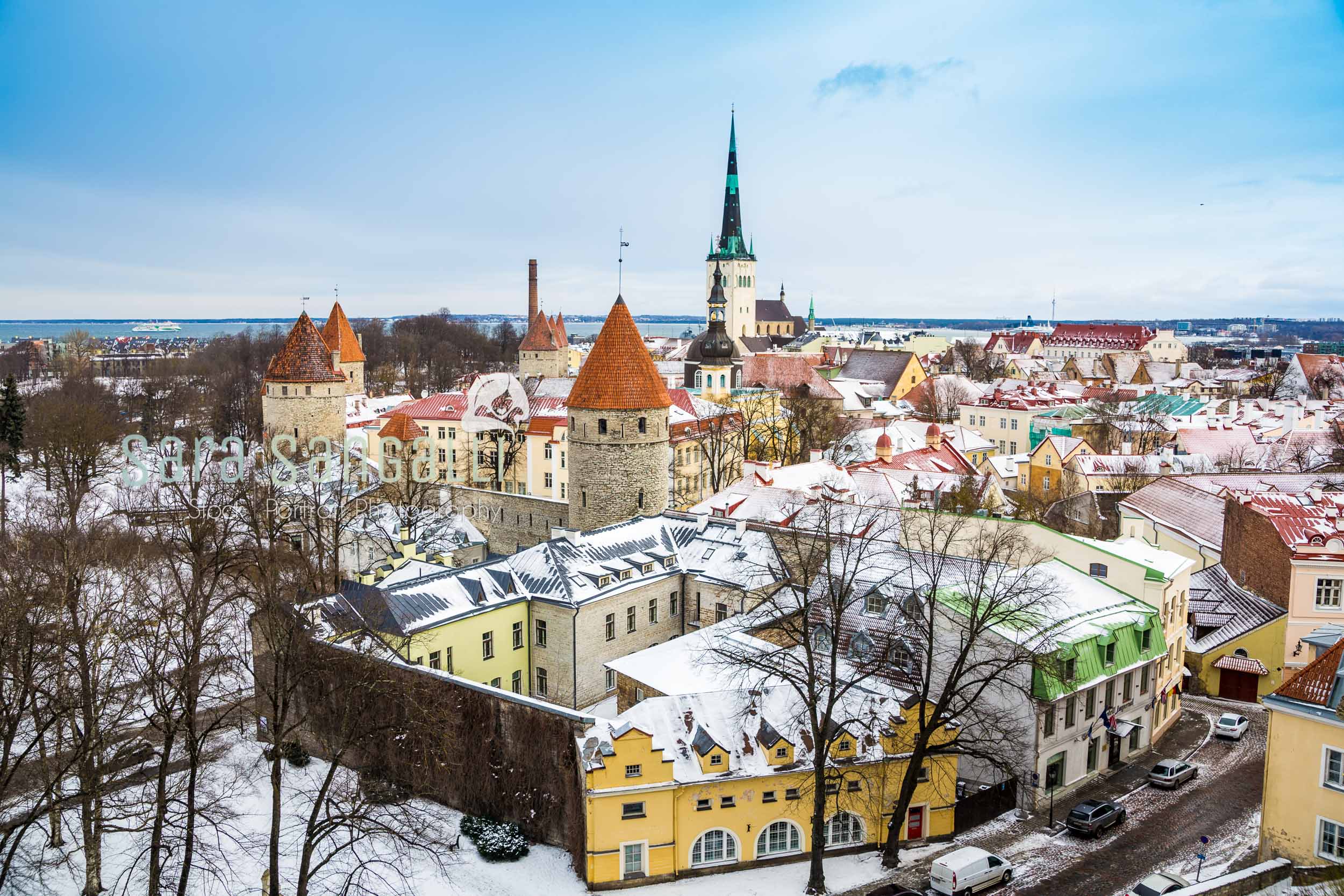 The snowy red roofs of Tallinn
