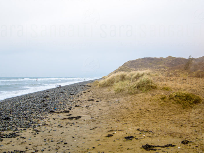 Natura, sabbia e sassi nell Riserva Naturale Di Murlough a Keel Point, Dundrum, BT33 0NQ Irlanda del Nord