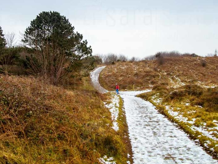 Il sentiero di legno che conduce alla spiaggia della Riserva Naturale di Murlough | © Sara Sangalli