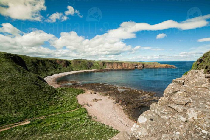 the Aberdeenshire Coast, Aberdeenshire, Scotland, near Dunnottar Castle