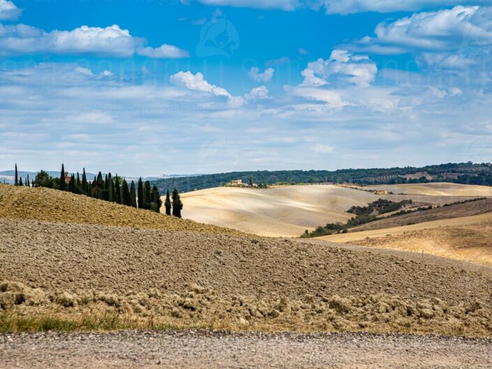 Toscana ed Umbria, Italia – 2020 – Galleria fotografica