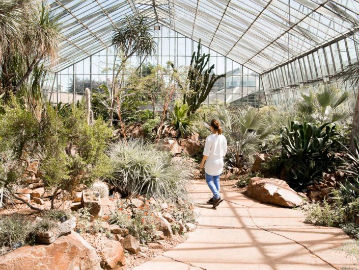 Arids lands House.Royal botanical garden Edinburgh Arids lands Glass House