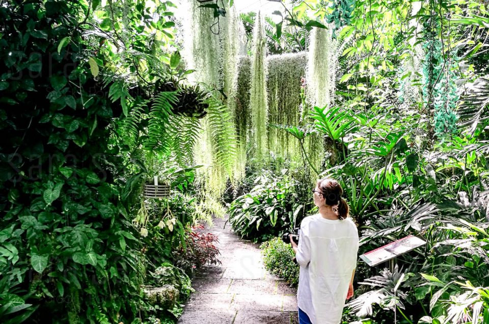 Royal Botanic Garden Edimburgh