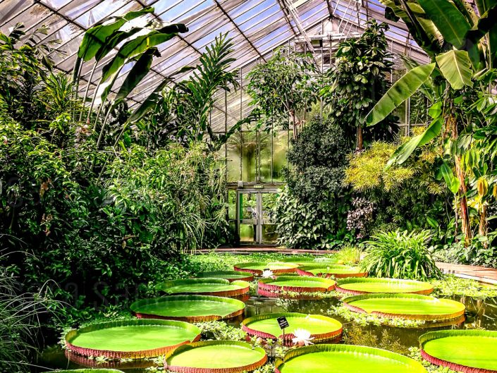 Plants and People House. Giardino Botanico Reale di Edimburgo